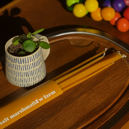 Tiny Taper Beeswax Candles