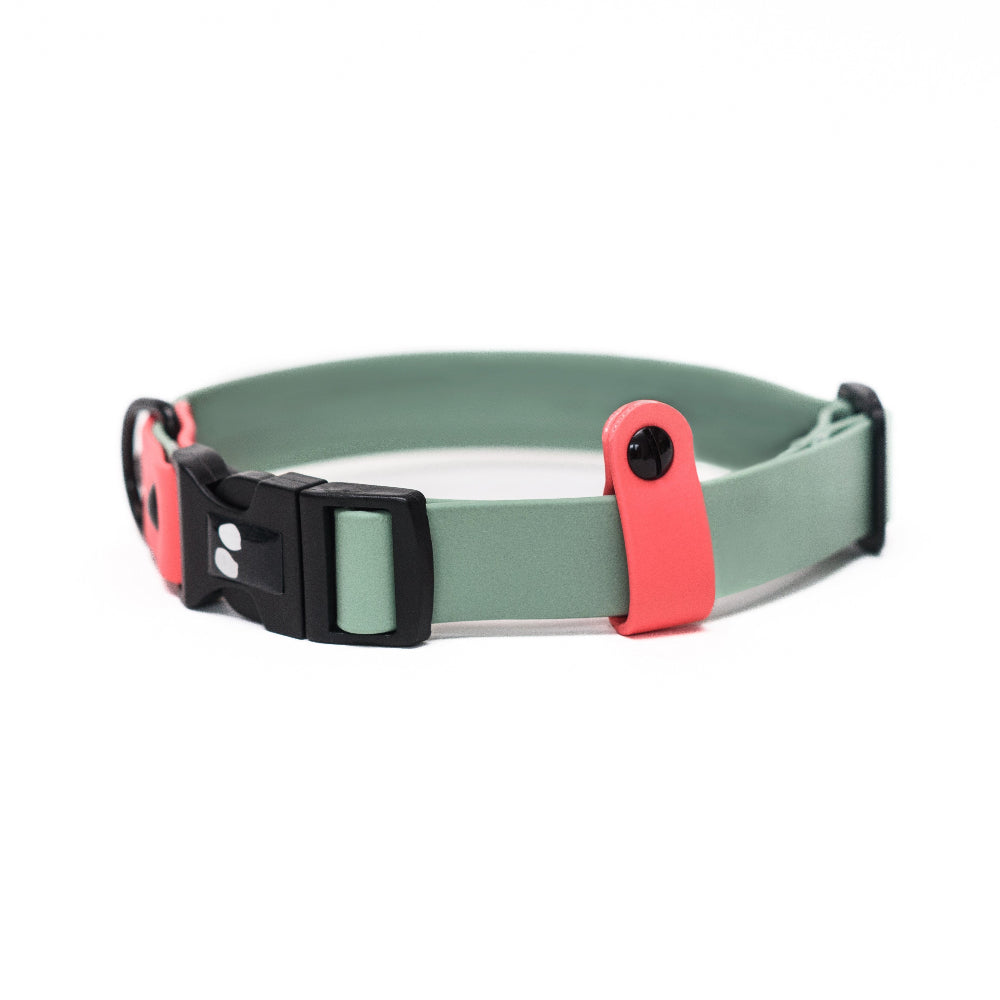 Waterproof dog collar in sage and coral colour with black adjustable clip.