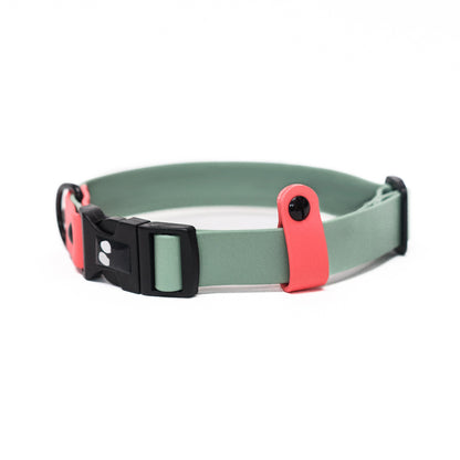 Waterproof dog collar in sage and coral colour with black adjustable clip.